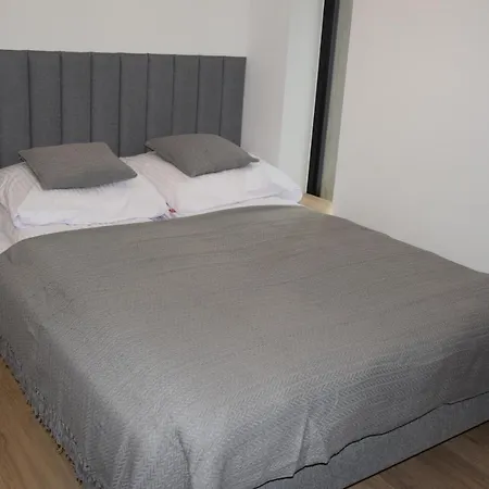 Sosnowy Aktena Shellter