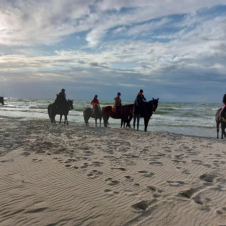 شقة Sosnowy Aktena Shellter روغوفو