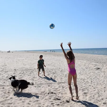 Sosnowy Aktena Shellter روغوفو