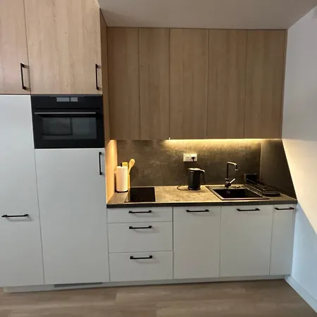 Sosnowy Aktena Shellter شقة روغوفو