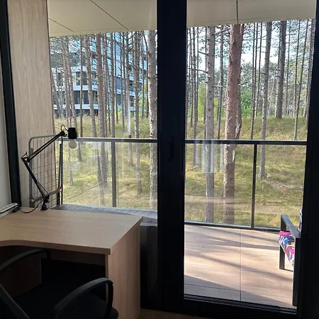 Sosnowy Aktena Shellter