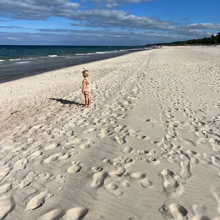 Sosnowy Aktena Shellter