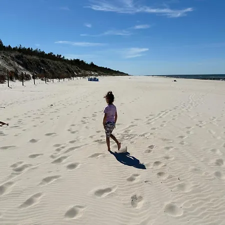 Sosnowy Aktena Shellter アパート ロゴボ