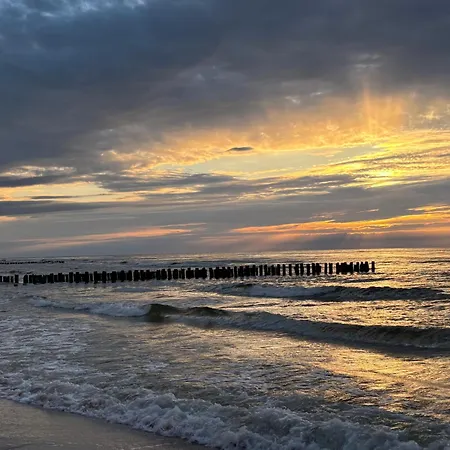 Sosnowy Aktena Shellter *