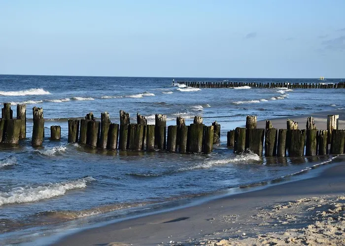 Apartamento Sosnowy Aktena Shellter