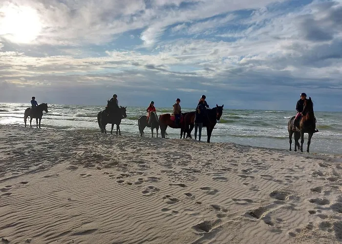 Apartamento Sosnowy Aktena Shellter Rogowo (Gryfice)