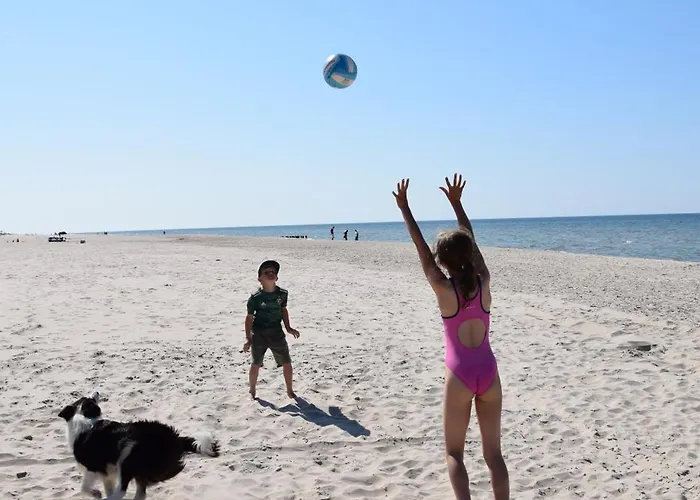 Sosnowy Aktena Shellter Rogowo (Gryfice)