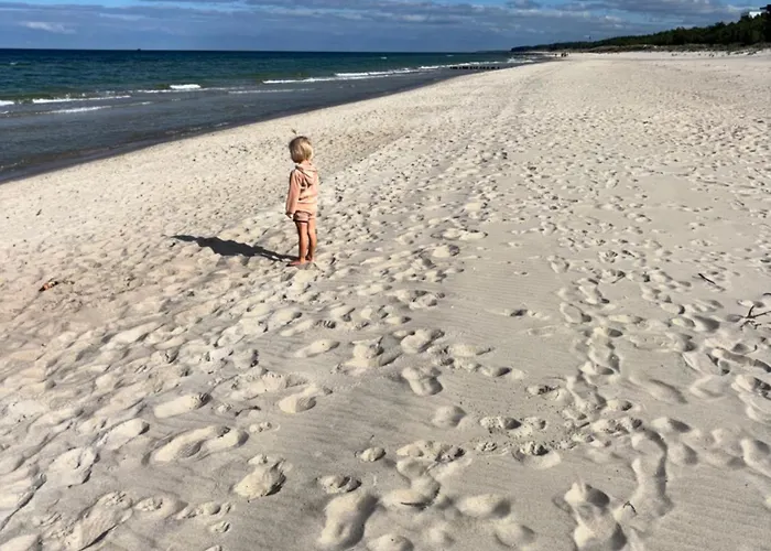 Sosnowy Aktena Shellter