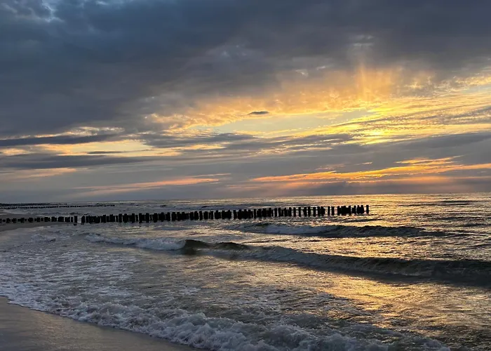 Sosnowy Aktena Shellter *